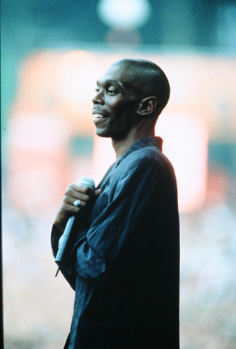 Faithless photo transparency - photo,