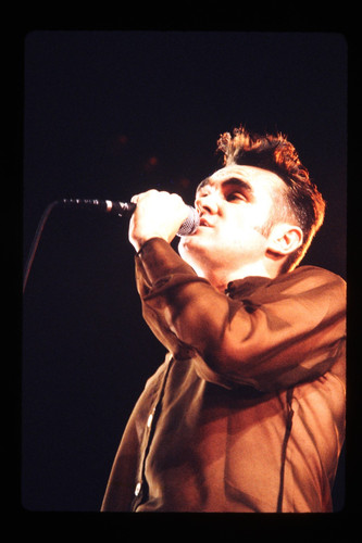 Morrissey photo transparency - photo,