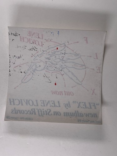 Lene lovich sticker - lene, rare