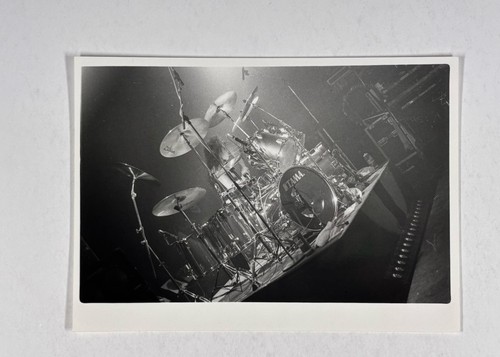 Vixen roxy petrucci - vixen,